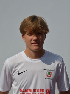 Avatar Bild für Karl Johann Hagelstein