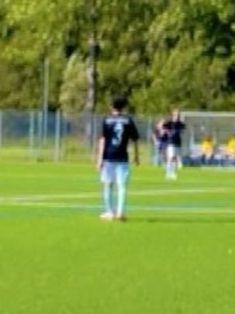 Avatar Bild
