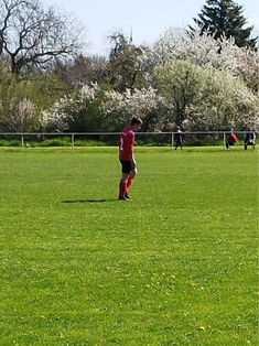 Avatar Bild