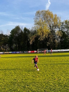 Avatar Bild für Aaron Dolch