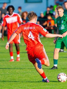 Avatar Bild