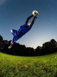 Avatar Bild