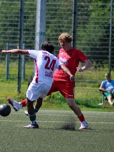 Avatar Bild