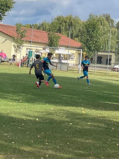 Avatar Bild für Till Goldhahn