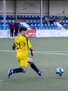 Avatar Bild
