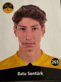 Avatar Bild für Ibrahim Batu Sentürk