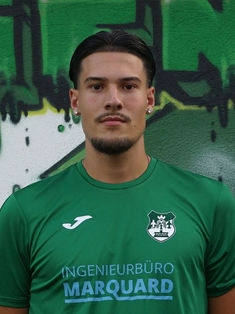 Avatar Bild für Nikolai Filip Savic