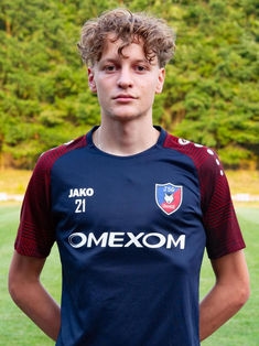 Avatar Bild für Carlo Henry Weiser
