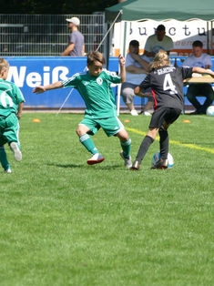Avatar Bild