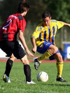 Avatar Bild