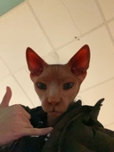 Avatar Bild