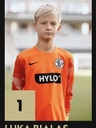 Avatar Bild