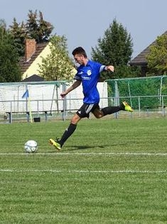 Avatar Bild für Philipp Damm