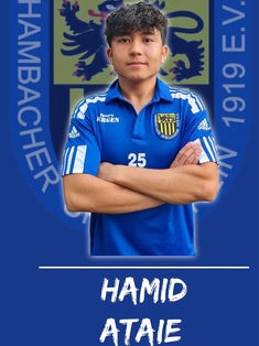 Avatar Bild für Hamid Ataie