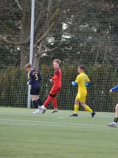 Avatar Bild