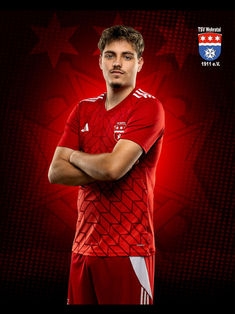 Avatar Bild für Francesco Cerritelli