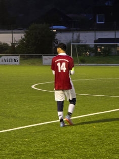 Avatar Bild für Aras Mohsen