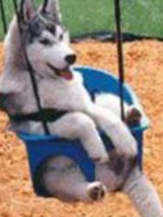 Avatar Bild für Stuhlgang (Fanticker)