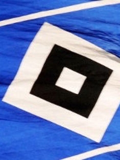 Avatar Bild für P-Sherman (Fanticker)