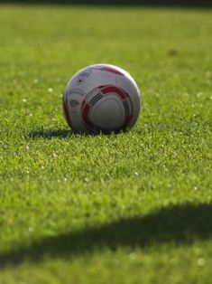 Avatar Bild für MBowler (Fanticker)