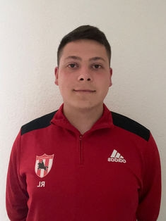 Avatar Bild für RicardoLinss (Fanticker)