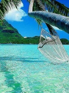 Avatar Bild für Meggs (Fanticker)