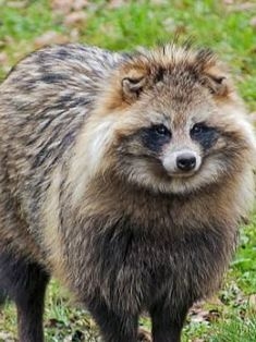 Avatar Bild für BigMac2 (Fanticker)