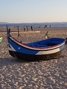 Avatar Bild für NelitoFigueira (Fanticker)