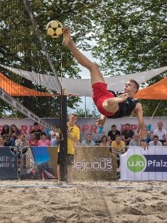 Avatar Bild