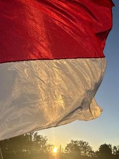 Avatar Bild für wohldi26 (Fanticker)