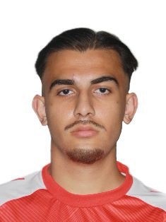 Avatar Bild für ElmedinselinoHamidi (Fanticker)