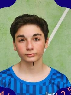 Avatar Bild für ThevdoreNozadze (Fanticker)