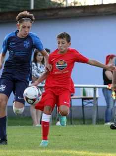 Avatar Bild für 11150263 (Fanticker)
