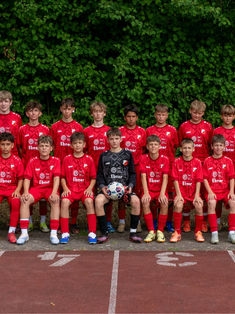 Avatar Bild für 11159863 (Fanticker)