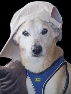 Avatar Bild für OliverKrause7 (Fanticker)