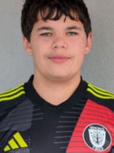 Avatar Bild für MaxNiebeling (Fanticker)