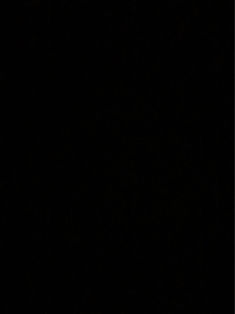 Avatar Bild für rashidomar (Fanticker)