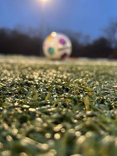 Avatar Bild für 111107334 (Fanticker)
