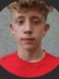 Avatar Bild für Niklasleonn (Fanticker)
