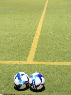 Avatar Bild für GroundhopperDom (Fanticker)