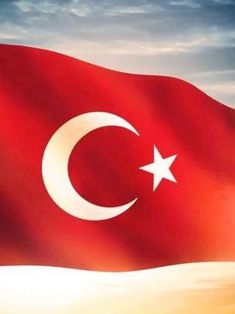 Avatar Bild für SelimKeles (Fanticker)