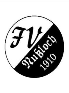 Avatar Bild für DadiZlatan (Fanticker)