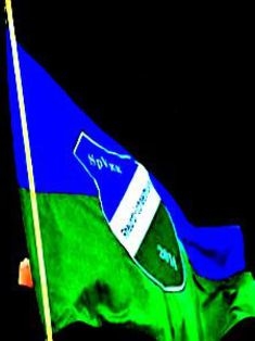 Avatar Bild für edfelson (Fanticker)