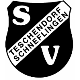 Avatar Bild für SV Teschendorf-Schneflingen