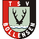 Avatar Bild für TSV Bollensen