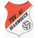 Avatar Bild für TSV Wahmbeck 07