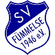 Avatar Bild für SV Fümmelse