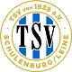 Avatar Bild für TSV Schulenburg