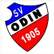 Avatar Bild für SV Odin