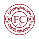 Avatar Bild für FC Düdinghausen-Deblinghausen